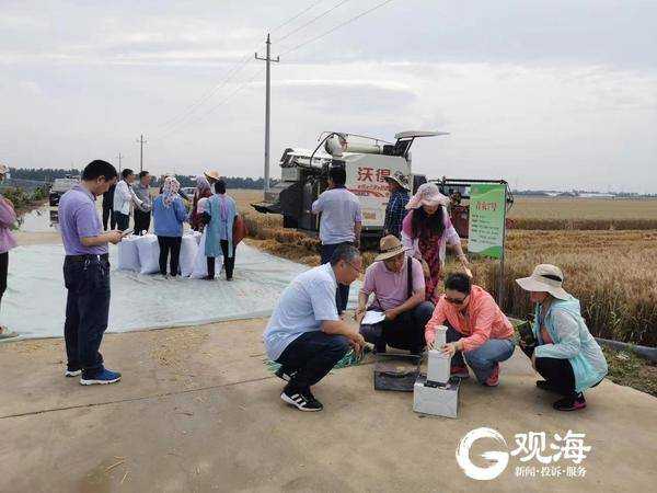 嘿，老乡，来唠唠地里那点事儿，今天不说别的，就说说这施肥的时辰学问