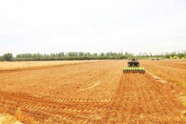 嘿，老铁，旱地也能种出金稻穗？这场种植革命正在悄悄改变咱的田地！-第2张图片-正海烽科技 - 领先的只能推广行业，智能制造解决方案提供商