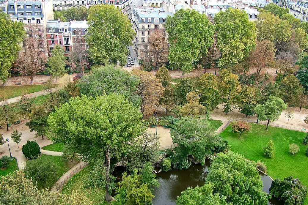 园林技术转专业全攻略：从申请门槛到跨行逆袭的真实经验分享