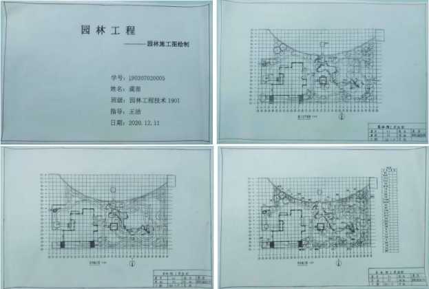 园林人的升本梦：从技术能手到专业设计师的跃迁之路