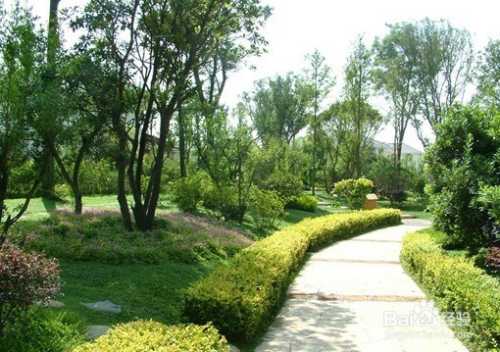 园林绿化施工：从粗糙到精致的工艺进化