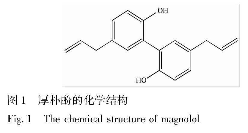 固体分散技术英语掌握秘籍，轻松应对国际交流