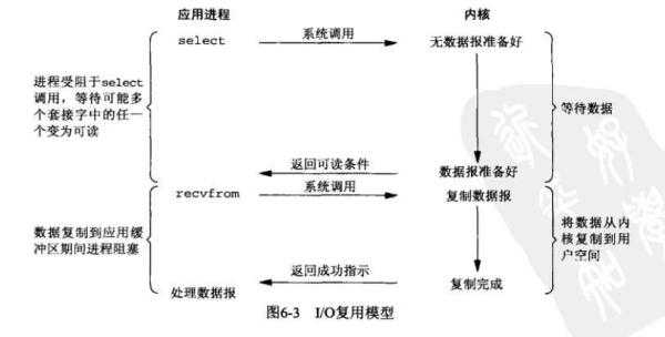 多路复用技术：让信息高速公路不再堵车的智慧