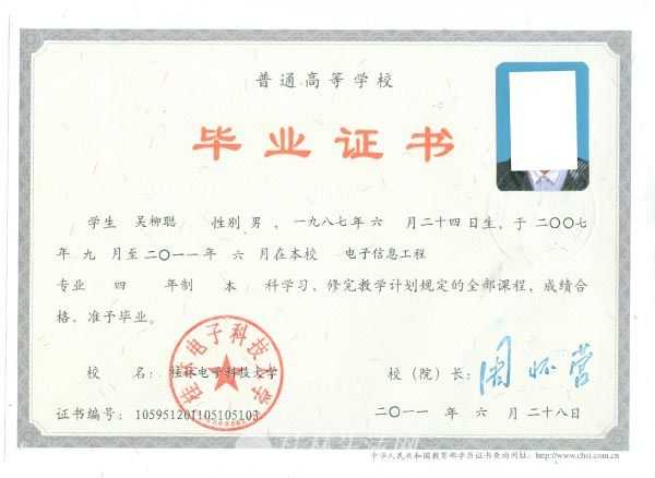 大专与技术之路：人生岔口咋个选