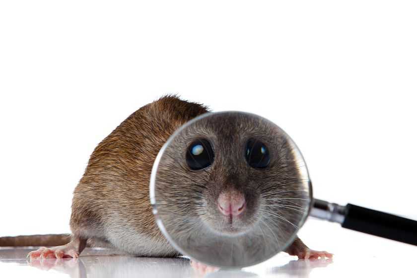 宁明家长嘅福音：睇下AI点样帮孩子稳到学习嘅“漏罅”