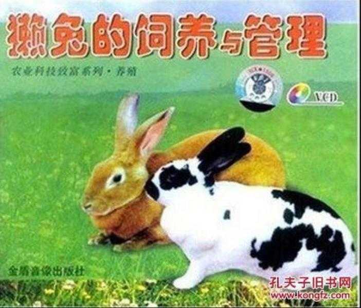 央视农广天地养猪技术精华大汇总，这些实用干货别再错过了！