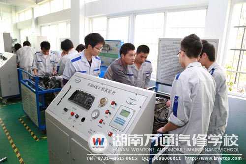 学什么技术稳定:找准饭碗里的压舱石 学什么技术稳定:找准饭碗里的压舱石