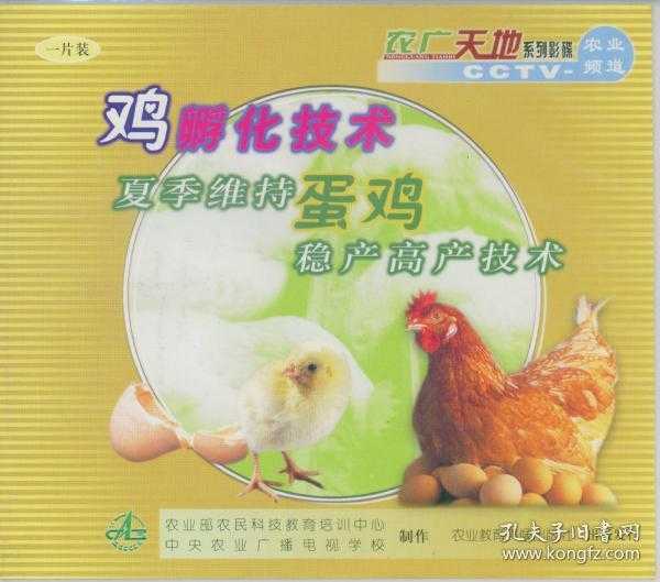 孵化小鸡其实很简单，跟对视频学你也能在家当“鸡妈妈”-第2张图片-正海烽科技 - 领先的只能推广行业，智能制造解决方案提供商