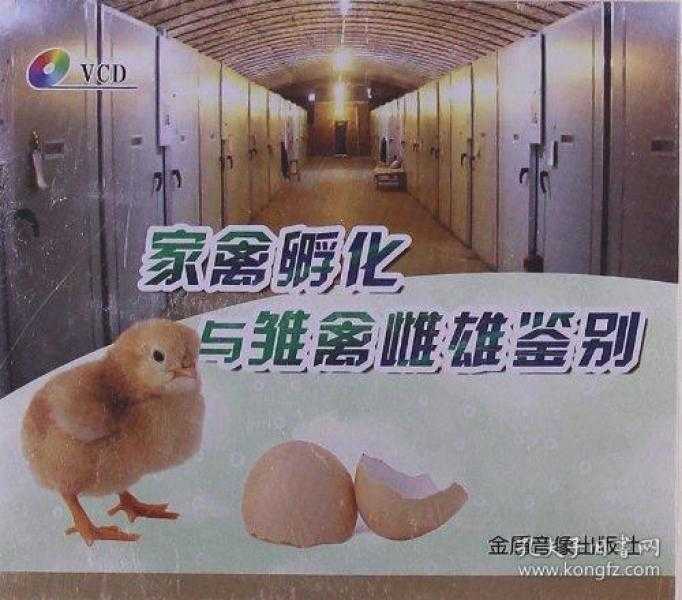 孵化鸭子技术全攻略:从零开始轻松孵出小鸭子 孵化鸭子技术全攻略:从零开始轻松孵出小鸭子