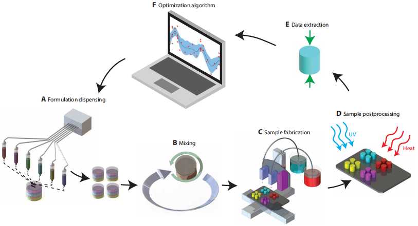 实验图片智能整理：科研路上的好帮手