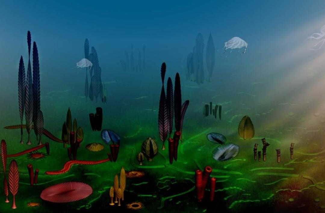 实验室里的“时间刺客”：看生物技术如何把十年研发压缩成三年