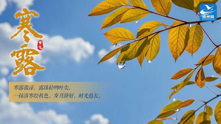 寒露智能舞深秋韵律数字艺术创作-第2张图片-正海烽科技 - 领先的只能推广行业，智能制造解决方案提供商