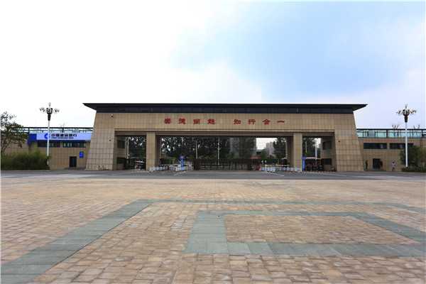 寻路山城，叩问未来：一所与重庆脉动同频的学府如何为你铺就锦绣前程