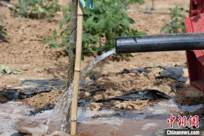 小水滴里的大乾坤：瞧这滴灌技术如何让旱地生金