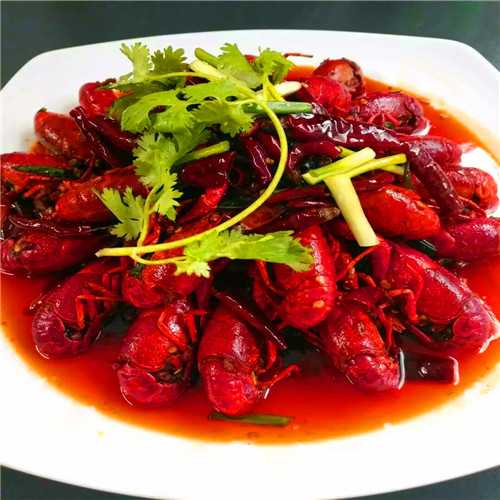 小龙虾养殖技术视频哪里找，手把手教你养出好虾