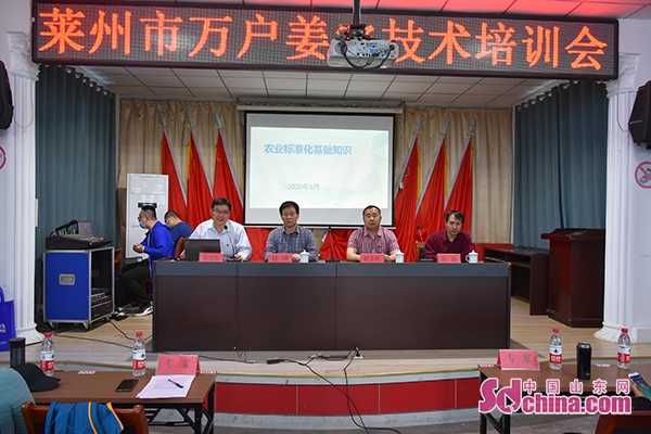 山东技术监督那些事：从百姓生活到经济大局的守护者