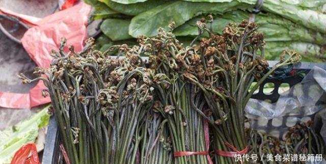 山野之王的田园新生：手把手教你种出鲜嫩蕨菜