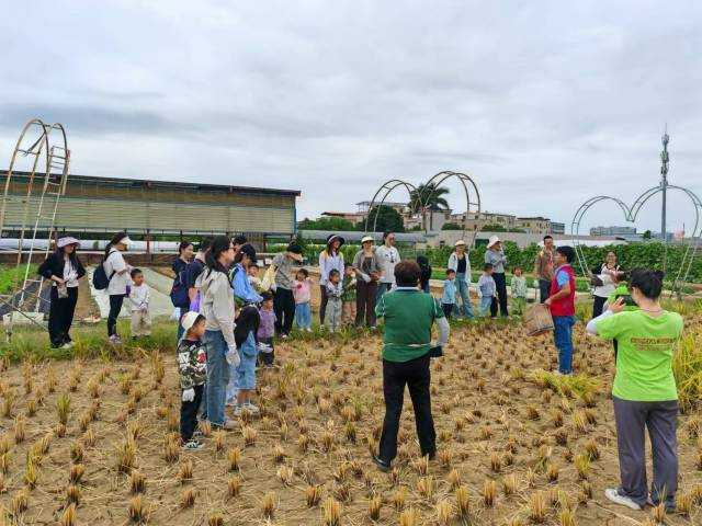岭南沃野新图景科技赋能广东农业技术新飞跃