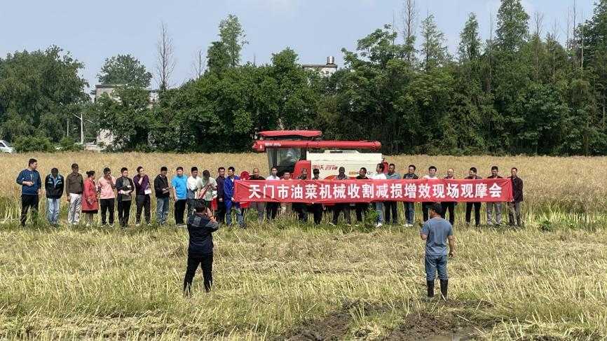 平凉农技人的田间故事:手把手教你种出好菜好粮 平凉农技人的田间故事:手把手教你种出好菜好粮