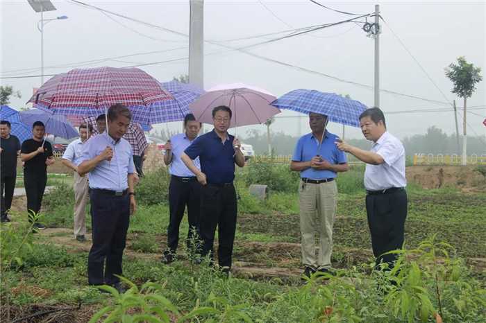 平凉农技人的田间故事:手把手教你种出好菜好粮 平凉农技人的田间故事:手把手教你种出好菜好粮
