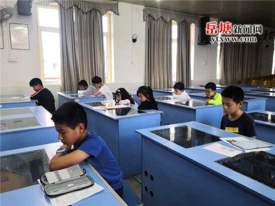 广东小学信息技术教师考编全攻略，备考路上的明灯与捷径-第1张图片-正海烽科技 - 领先的只能推广行业，智能制造解决方案提供商
