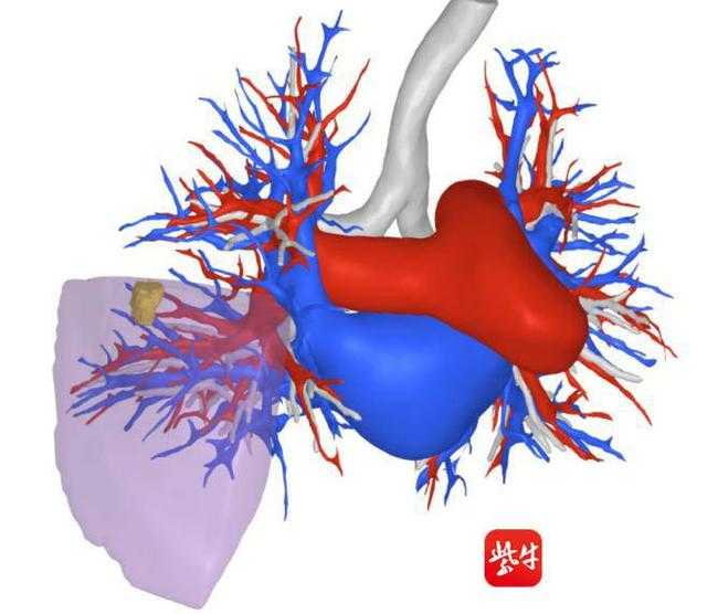 当AI在手术室里睁开了眼睛：那毫秒之间完成的生死判断