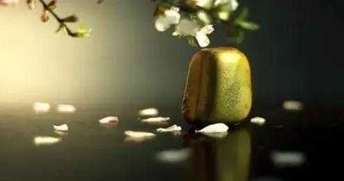 当机器开始做梦：AI妄念背后的真相与警示