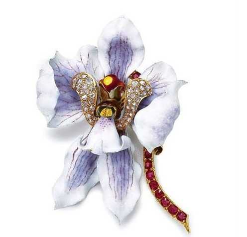 当清雅幽兰遇见赛博科技：你的专属兰花AI管家已上线