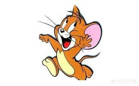 当老鼠遇上AI：从表情破译到机器伴侣的奇幻之旅