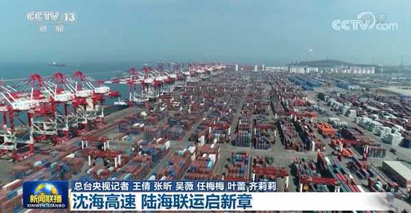 徐闻AI如何让菠萝变聪明，让乡村生活更美好