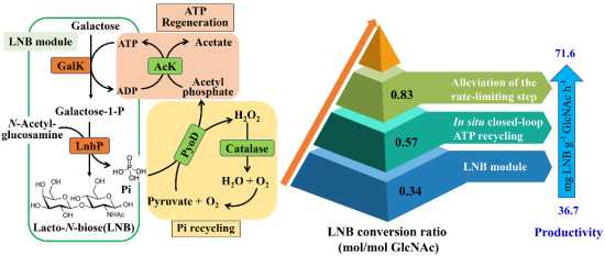 微生物技术国家布局，悄悄改变了你我碗里的饭菜