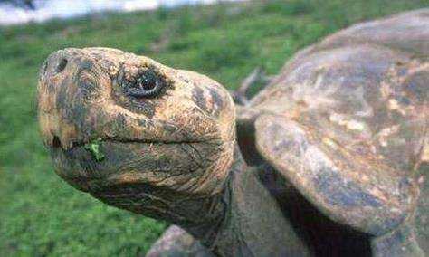 情感与效率的智能陪伴：聊聊AI工具如何帮我们整理知识与管理情绪