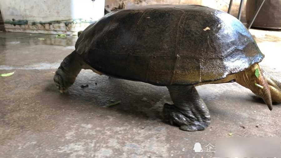 情感与效率的智能陪伴：聊聊AI工具如何帮我们整理知识与管理情绪