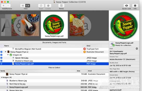 想整明白苹果电脑上的AI咋弄？看完这篇就够咧！