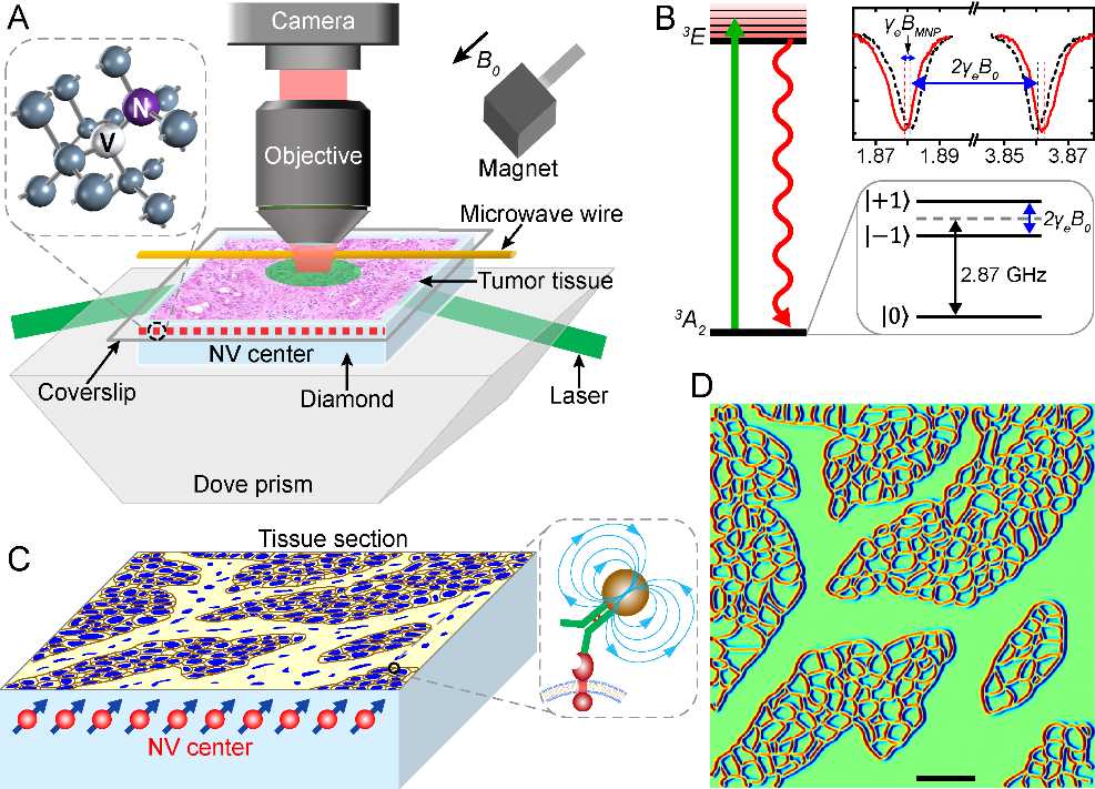 成像技术大：解决你生活中的实际难题