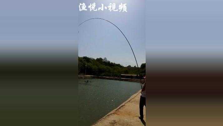 手杆钓鱼的那些门道，让你从此不空军