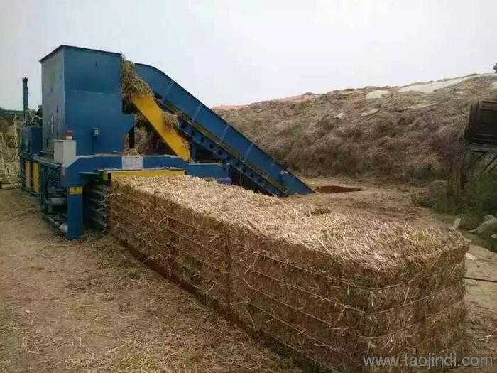 打包技术那点事儿：别让你的好内容被埋没在算法里