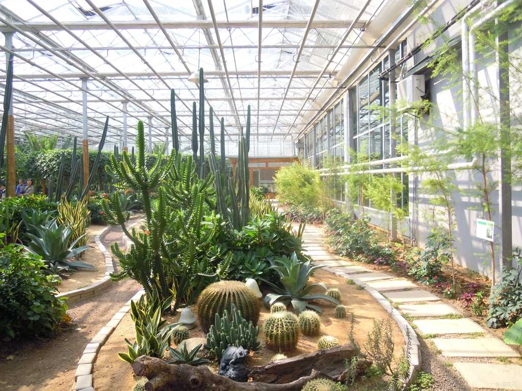 打造你的绿色竞争力:园林技术农艺类知识体系全导航-第1张图片-正海烽科技 - 领先的只能推广行业,智能制造解决方案提供商 打造你的绿色竞争力:园林技术农艺类知识体系全导航-第1张图片-正海烽科技 - 领先的只能推广行业,智能制造解决方案提供商