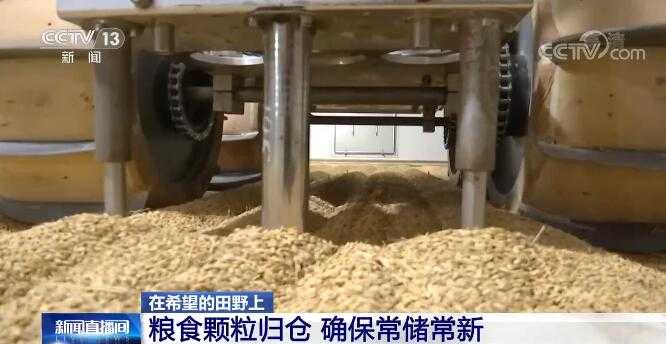 打造新时代的“智慧粮仓”：绿色储粮技术条件全解读
