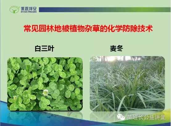 技术三除如何让生活更轻松自在-第1张图片-正海烽科技 - 领先的只能推广行业，智能制造解决方案提供商