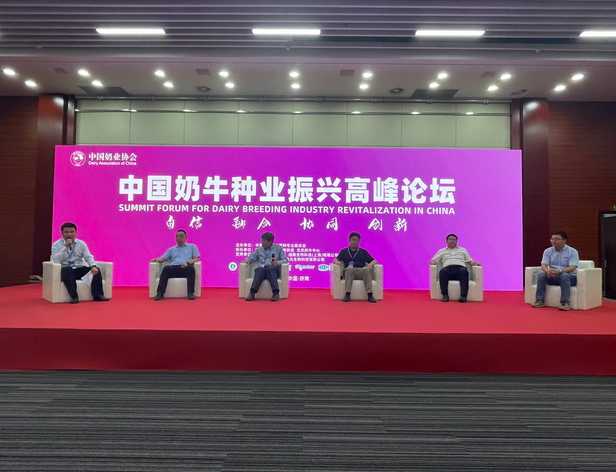 技术人的体面：国企技术岗穿搭避坑指南