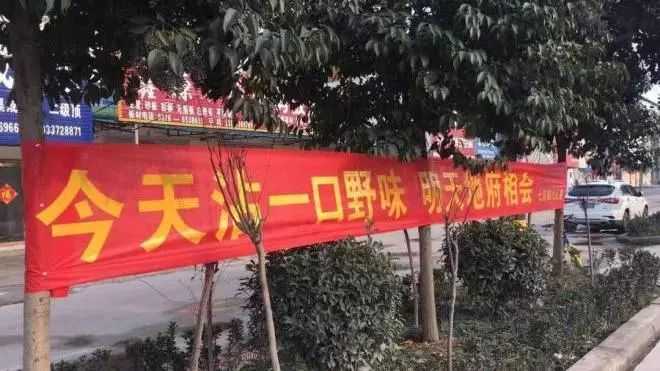 技术任务横幅口号的魔法：让每个字都成为团队的“冲锋号”