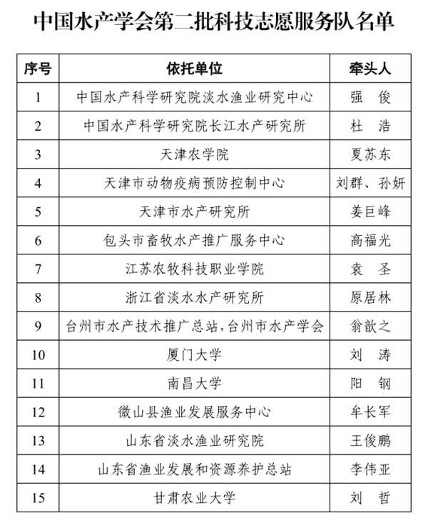 技术团队队名整理那点事儿