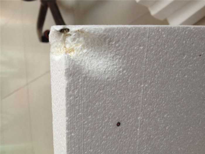 技术泡沫的里里外外：咱老百姓咋整？