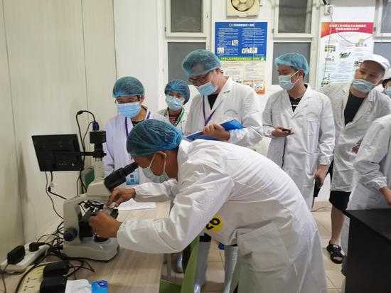 技术科员的日常：螺丝钉还是万金油？