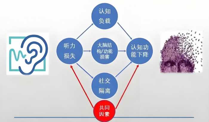 技术邻到底是啥宝贝