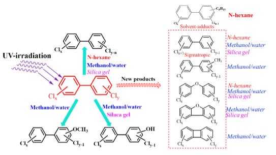技术邻到底是啥宝贝