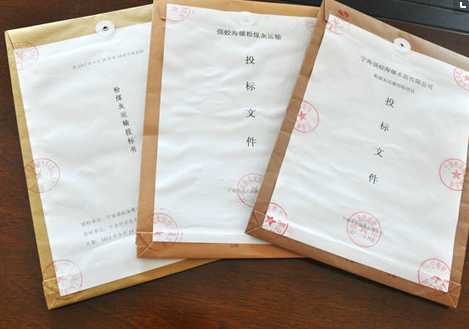 技术部分投标文件整理全攻略：避开这些坑，中标率提升不止一点点！-第2张图片-正海烽科技 - 领先的只能推广行业，智能制造解决方案提供商