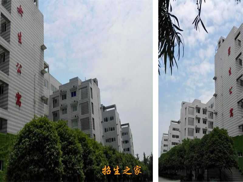 技高行远，中山中专为你铺就通往未来的坚实之路