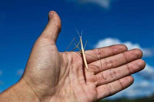 拍得好！别只会说“哇塞”，这么夸照片才夸到人心坎里